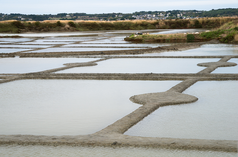 Guérande (44)
