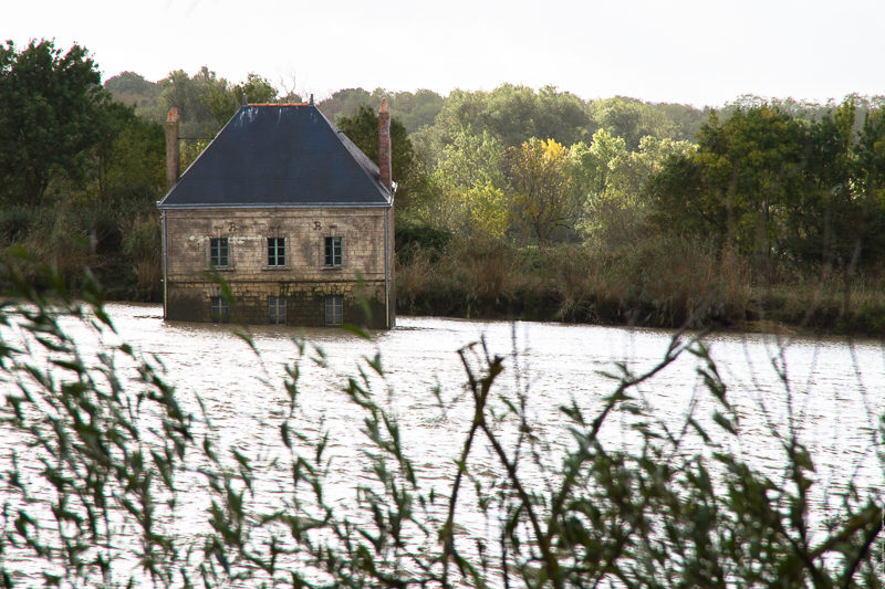 Estuaire (de la Loire, 44)