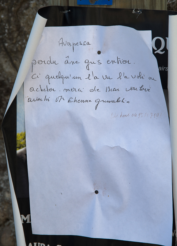 Avapessa (20)